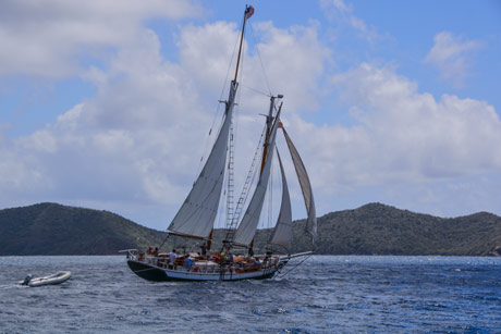 BVI