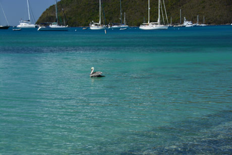 BVI